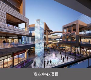 简易升降二层智能停车设备商业中心项目