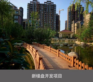 简易升降二层智能停车设备新楼盘开发项目