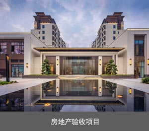 简易升降二层智能停车设备房地产验收项目